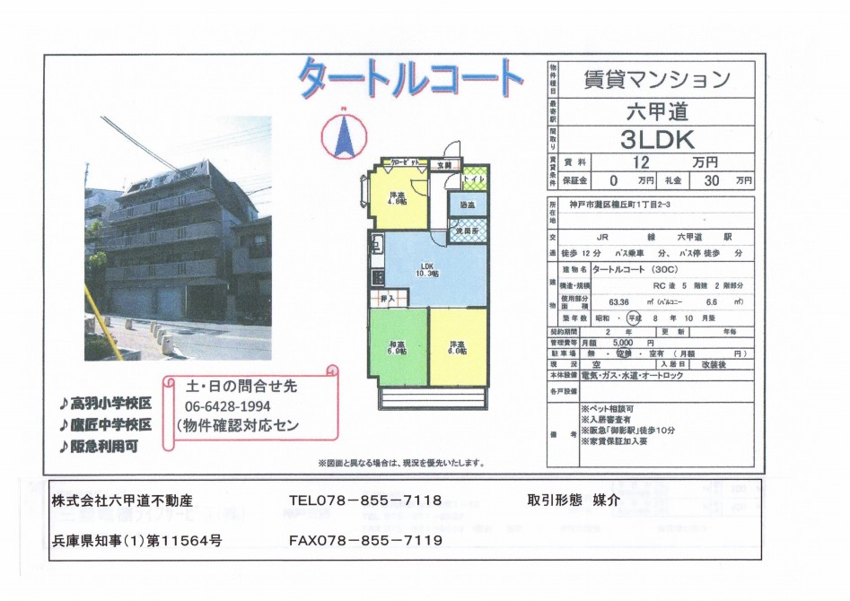 （終了）楠丘町１丁目のタートルコートです！！